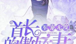 妻妻在线观看全集,一场跨越时空的浪漫邂逅