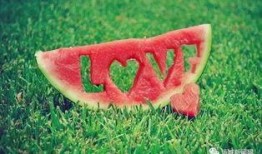 西瓜条子爆料怎么做的视频,轻松学会制作美味西瓜条子