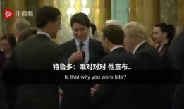 特朗普今日爆料视频播放,揭秘政治内幕与争议瞬间